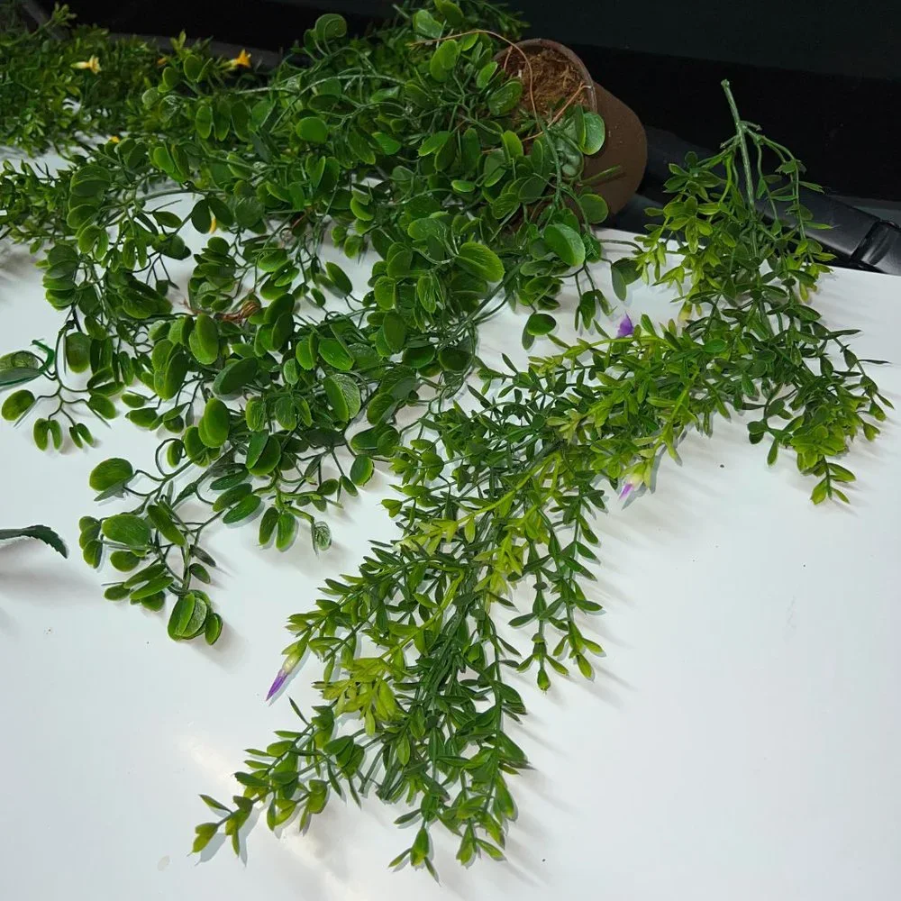 N/A reptile plant